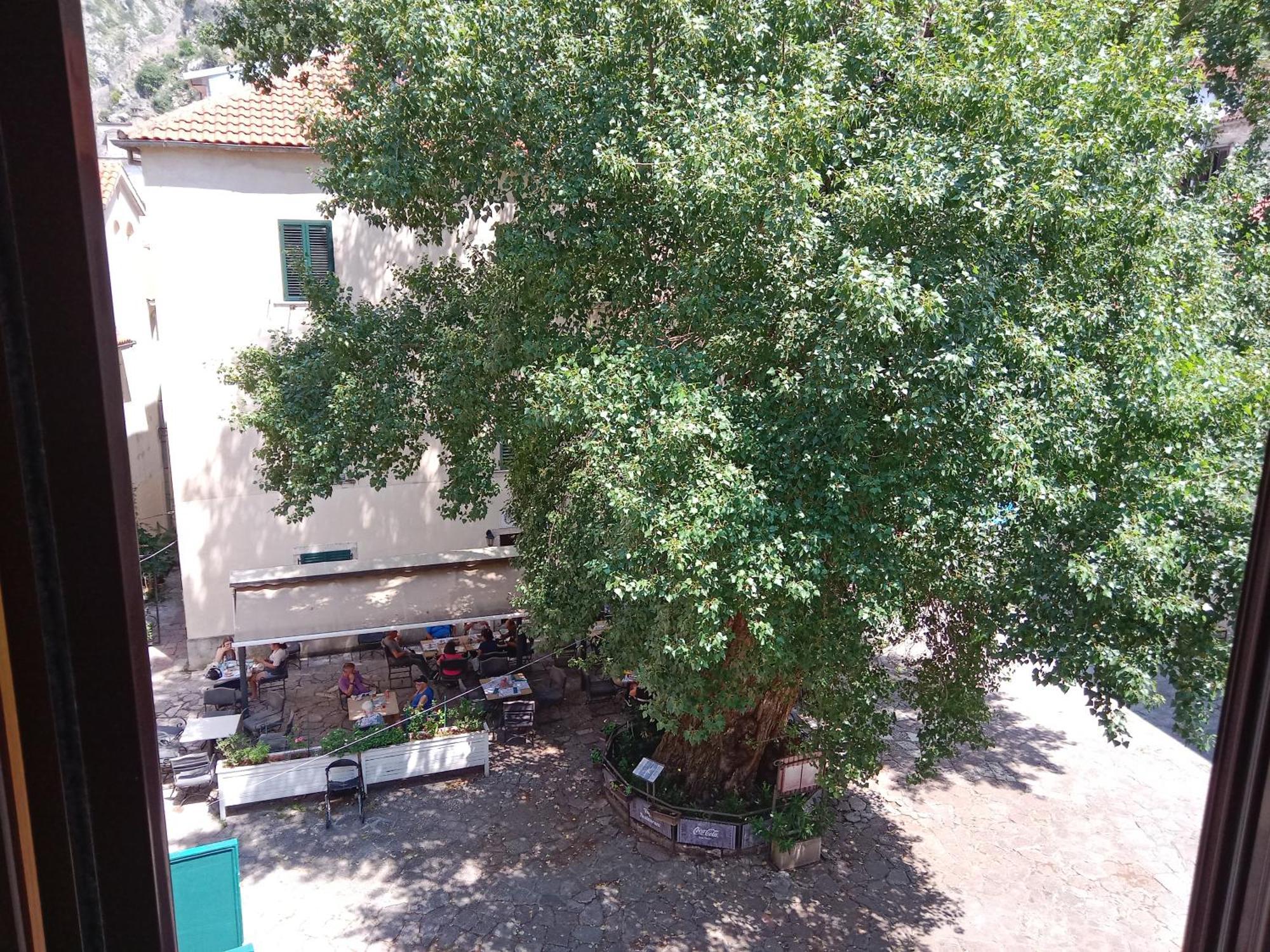 Centar Starog Grada Apartamento Kotor Exterior foto